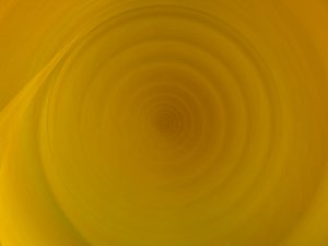 解读Qdrant领域的最新变化